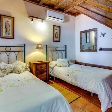 Finca Chona Y Francisco Санта Крус де Тенерифе Екстериор снимка