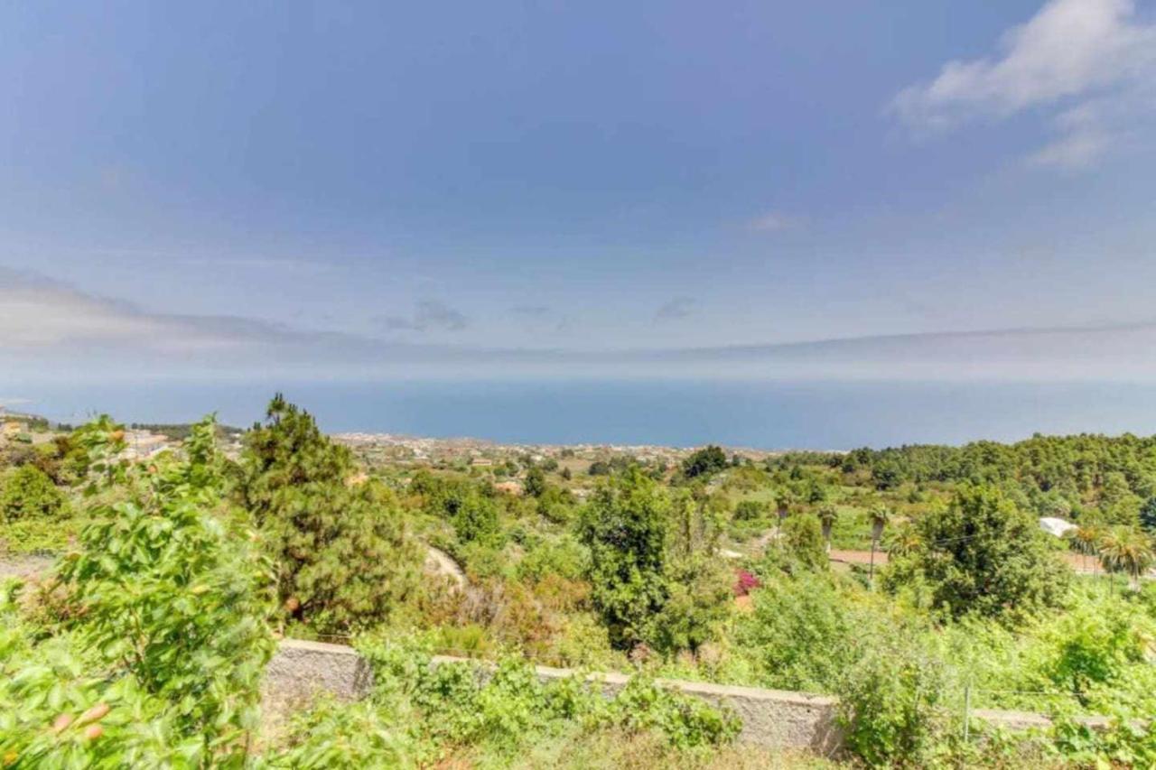 Finca Chona Y Francisco Санта Крус де Тенерифе Екстериор снимка